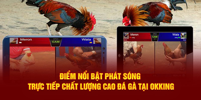 Điểm nổi bật phát sóng trực tiếp chất lượng cao đá gà tại OKKING