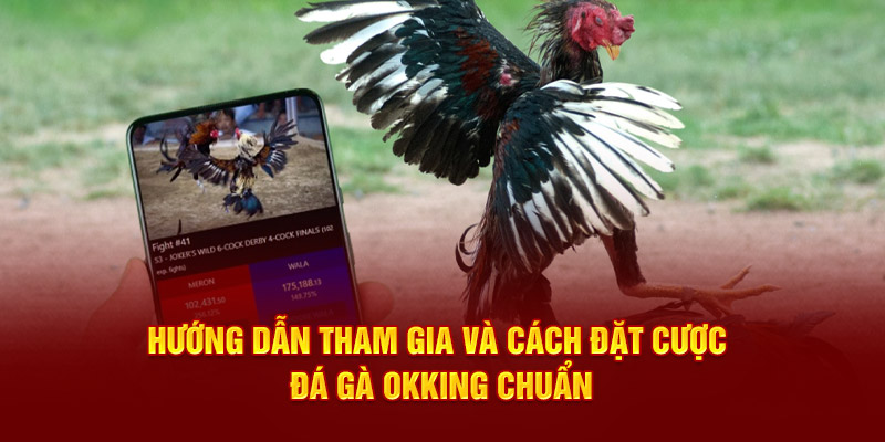 Hướng dẫn tham gia và cách đặt cược đá gà OKKING chuẩn