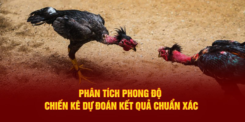 Phân tích phong độ chiến kê dự đoán kết quả chuẩn xác
