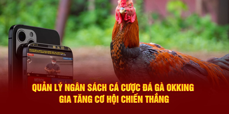 Quản lý ngân sách cá cược đá gà okking gia tăng cơ hội chiến thắng